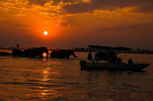 Chobe River