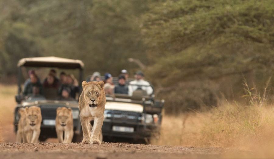 Manyoni Private Game Reserve · Zululand, KwaZulu-Natal, ZA