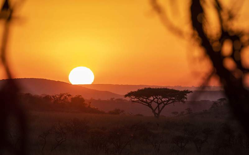 Open plains of Nambiti Private Game Reserve with big-game country