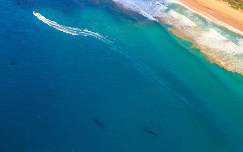 Dolphin Coast beachfront and Indian Ocean views at Salt Rock